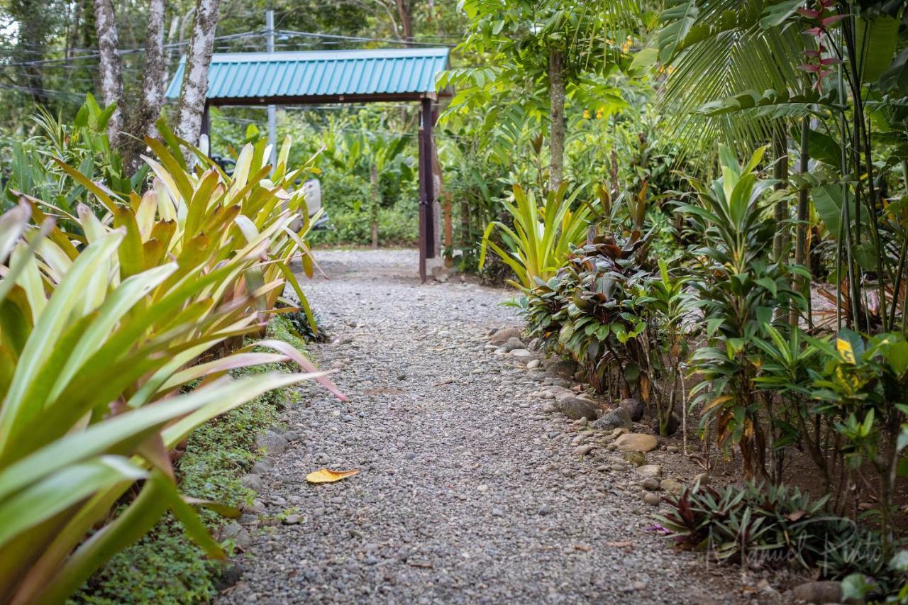 Вилла Casa Ylang In Black Sand Beach Puerto Viejo de Talamanca Экстерьер фото